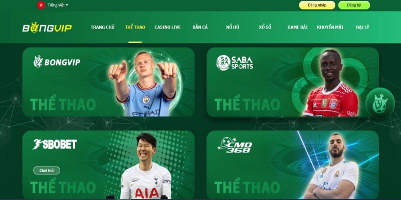 Game thể thao Bongvip – Đỉnh cao mới trong cá cược trực tuyến  