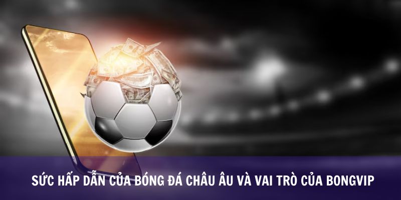 Sức Hấp Dẫn Của Bóng Đá châu Âu Và Vai Trò Của Bongvip